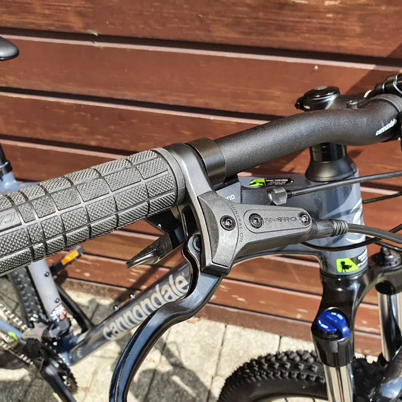 Cannondale Trail 6 Mountain Bike in Grey